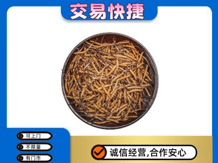 邯郸市永年回收散虫草